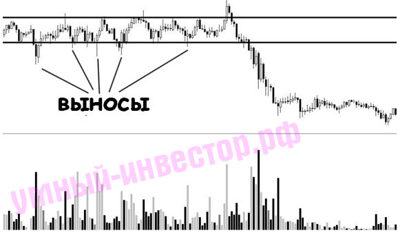 выгрузка биржа