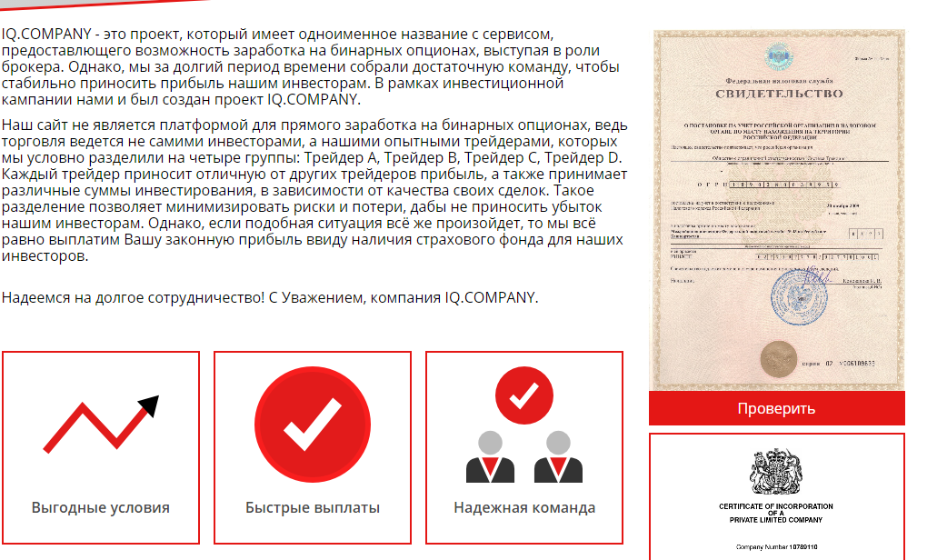 iq company