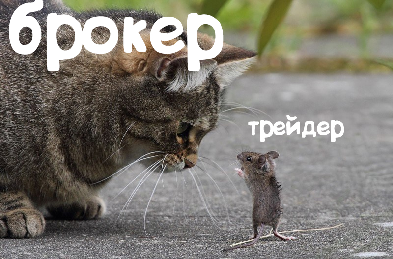 Трейдер в глазах брокера, если открыт замок на форексе