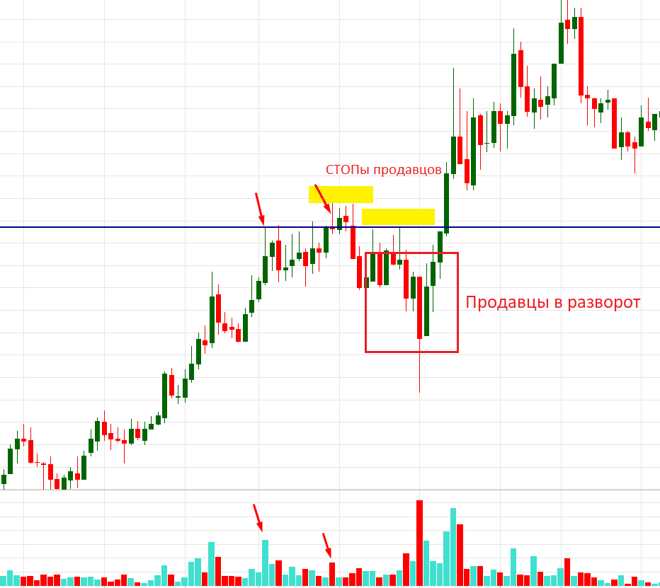 ПРОДАВЦЫ VSA