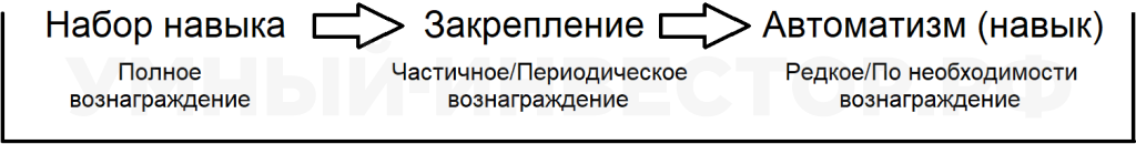 Профит — следствия привитых навыков