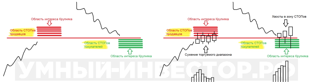 Распределение лимитных ордеров крупного игрока