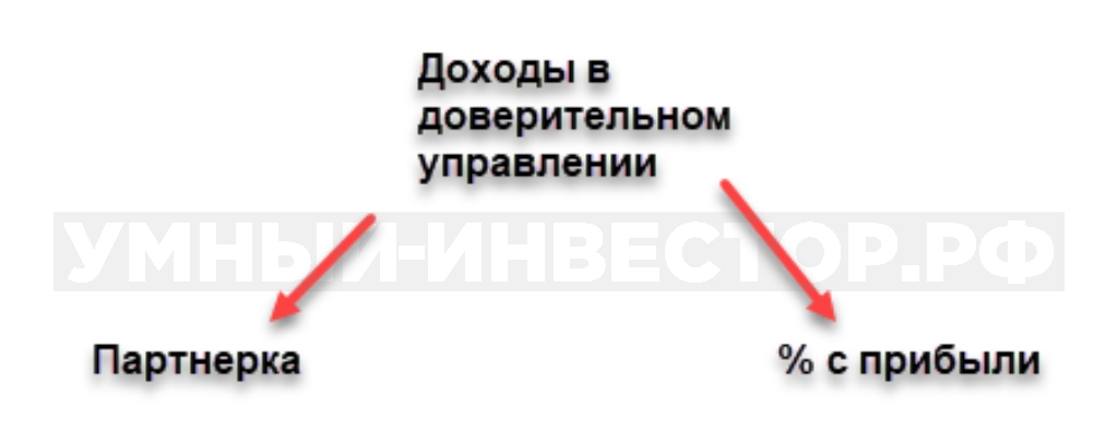 Доходы при ДУ